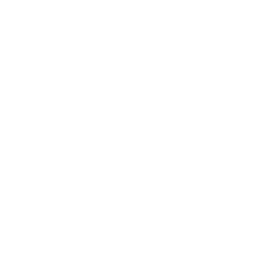 Visualisation icon
