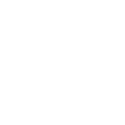 Reset kodi icon